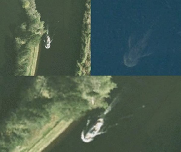 ƻֻǵͼġ˹ˮ֤֡ʵΪֻйµĺۼ