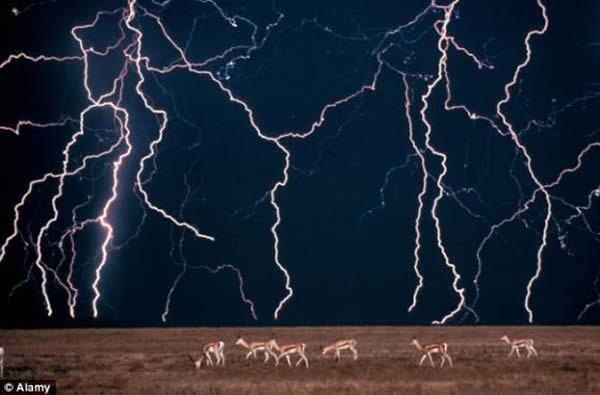 非洲的雷雨天气:研究人员借助这项技术,通过向云团里发射激光,就能人工降雨,或者是根据指令创造雷雨交加的环境