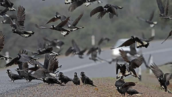 �ڷ�ͷ��������Σ����