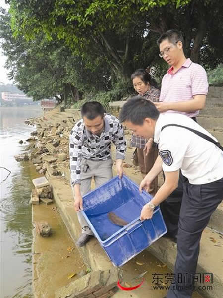 �����㱻��ҵ���ŷ���