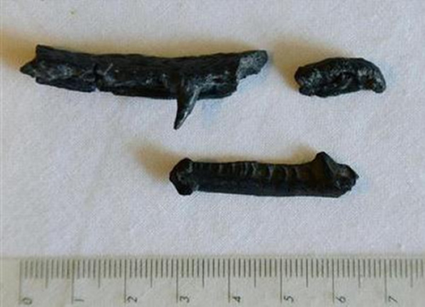 ձʯذɽ1.3ǰѼزзදﻯʯ