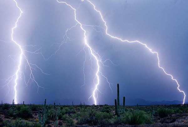 �������籩���ˡ�׷�ټ�������