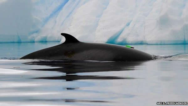 �о���Ա����ѧ����ǩ���ŵ��������϶����ǽ��м���