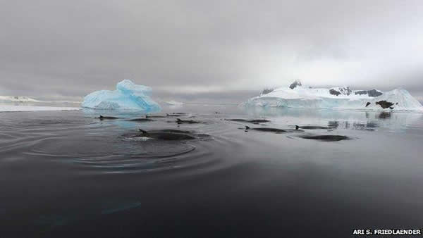 50��ǰ�����ĹŹ�������ֱ�����ڿ�ѧ�Ҳŷ�������������Դ��