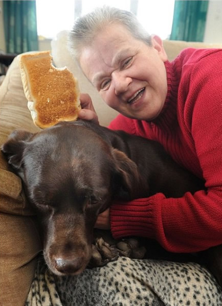 Ӣ���ϸ���������� ��������ڶ��ξ���