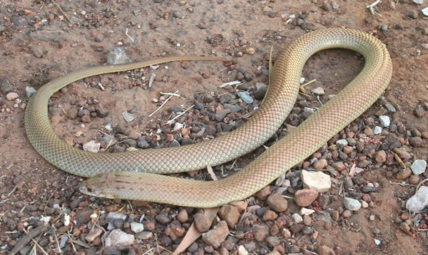 �о����ְ������½�ض��ߡ��������ߡ��ر�ϲ������˯�ŵ���