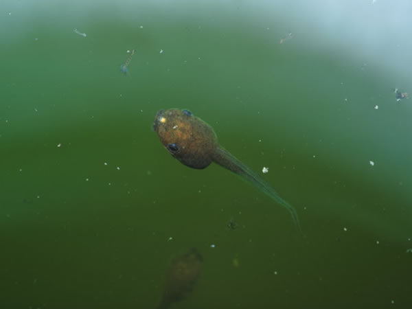 ±ũҵܼƻɸıϢؼٷֳ