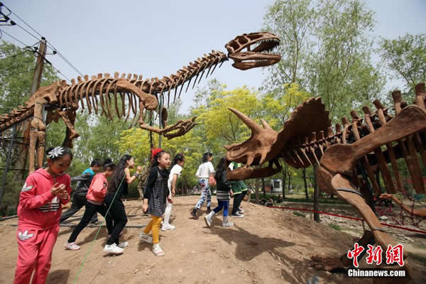 太原市动物园“恐龙学院”