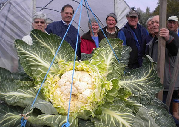 Ӣ��69�������ֳ�27�������������˻�