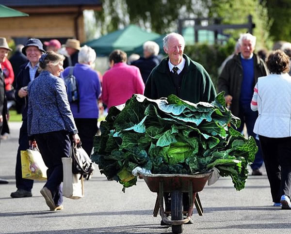 Ӣ��69�����ӱ˵á������Ȳ�³�������Լ��ֳ��ľ޴���Ĳˡ�