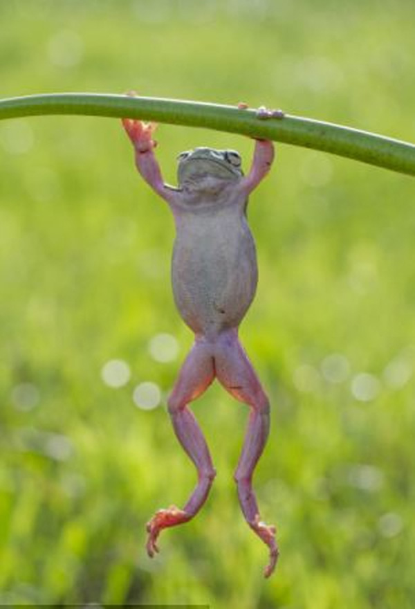 ӡӰʦ׽СܡĿɰһĻ