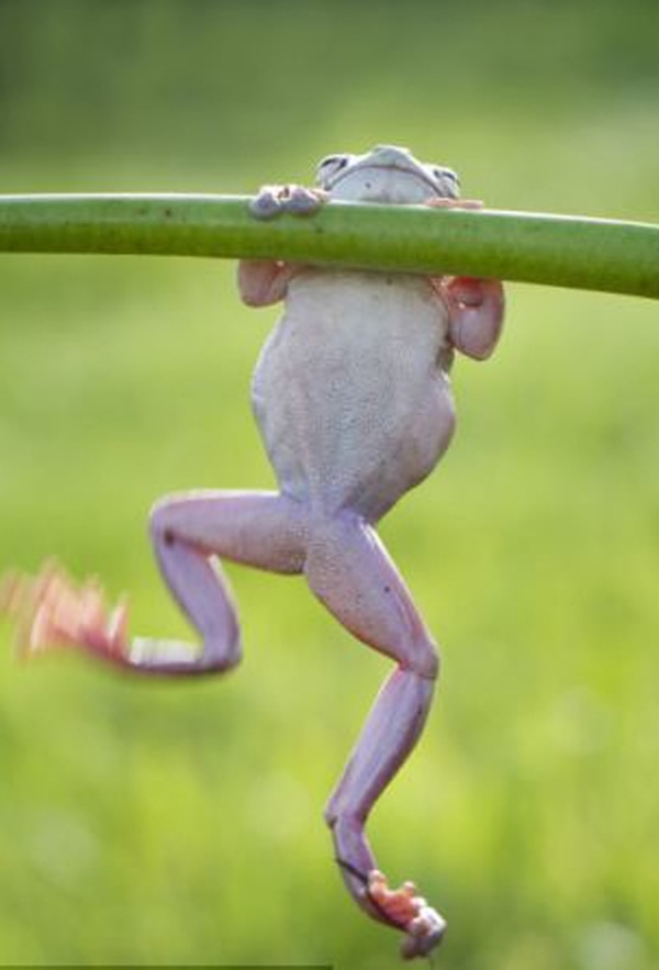 ӡӰʦ׽СܡĿɰһĻ