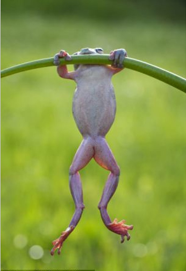 ӡӰʦ׽СܡĿɰһĻ