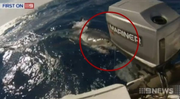 5�׳�����蹥������С�洬