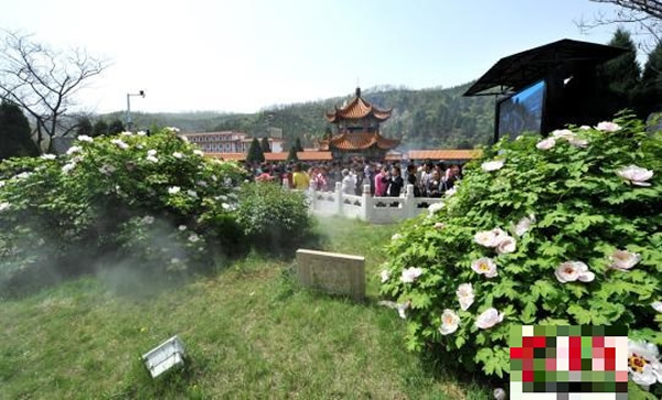 �ο���ǧ��Ұ����ĵ��ǰ��������