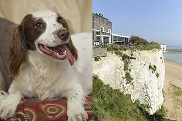 Ӣ��ʷ����Ȯɢ���ּ����ζ�24�������漣������