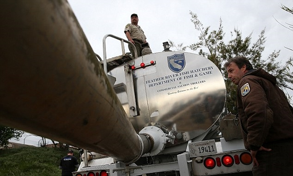 ��������ͼ�е�ˮ����������