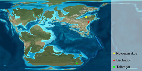 中侏罗世光滑隐翅虫的地理分布
