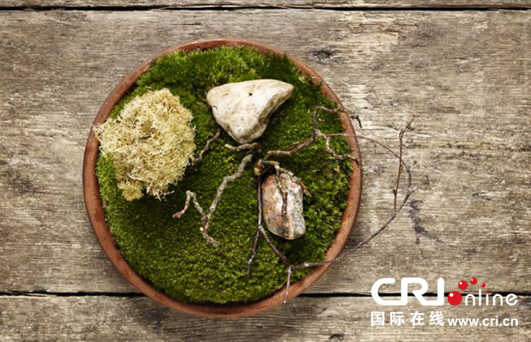 ����50�Ѳ͹��������� ����͹��ط������һ����