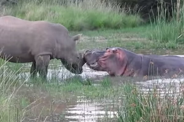 ��Ϭţ���ĸ��������