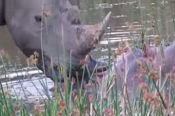 ��Ϭţ���ĸ��������