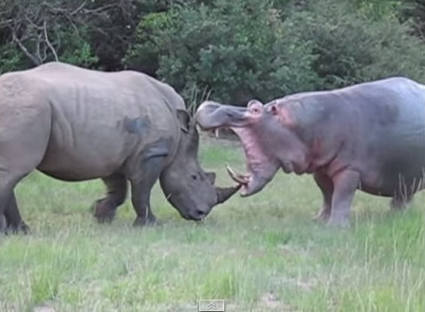 ��Ϭţ���ĸ��������