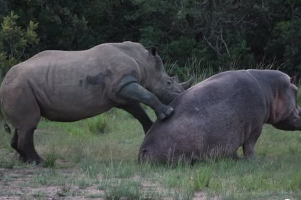 ��Ϭţ���ĸ��������