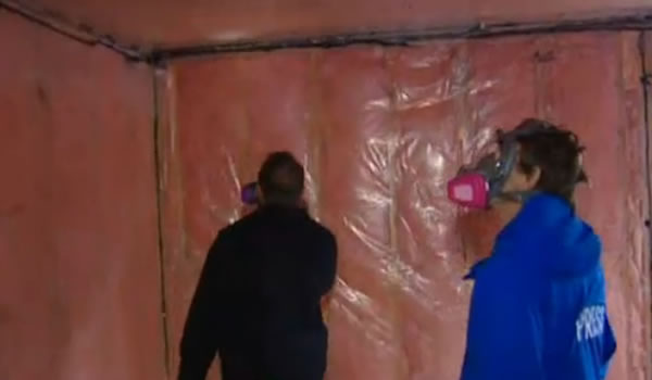 加拿大女子花费巨资买豪宅后发现竟是“鼠窝”