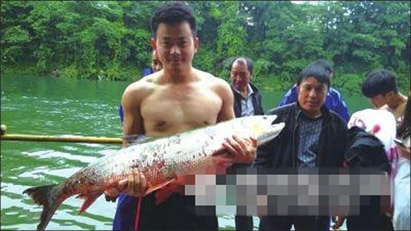 ������������Ա��������һ��������40�������