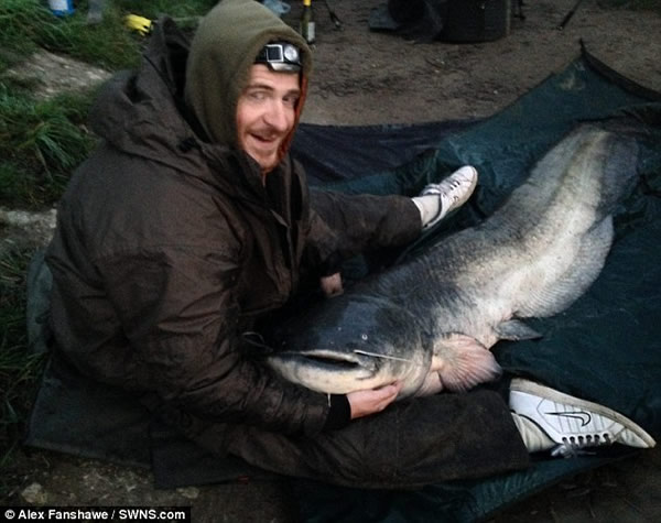 Ӣ�����㰮���ߵ���һ���ش�54����ĳ���������