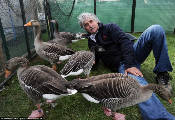 法国“鸟人”带着雁群飞翔