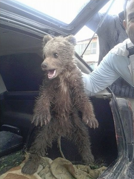 ϣ·˾ѻܱȴ𱨡˺ú