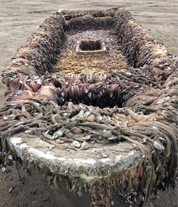 �������������ձ�����������ĺ�Х��շתƯ��������