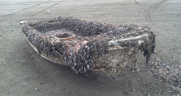 �����ձ���������������ֵĺ��������ٺ���״���ֲ���