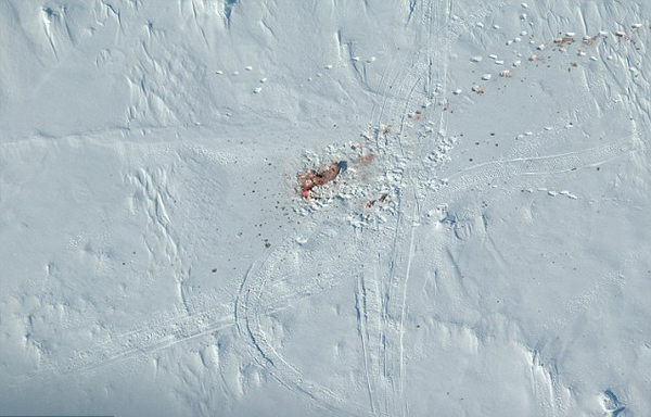 �������ⲻ�����Ӳ�ɱ��Ƥ