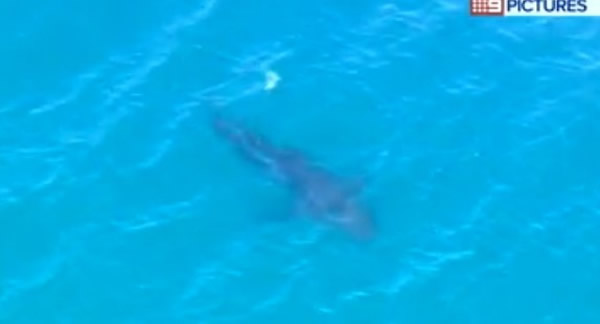 ����һ�������׷���㵼�º�̲�ر�