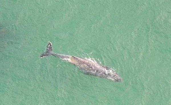 ����һ�������׷���㵼�º�̲�ر�