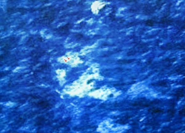 红色箭嘴所指的物件,埃克斯认为是MH370客机的机窗。