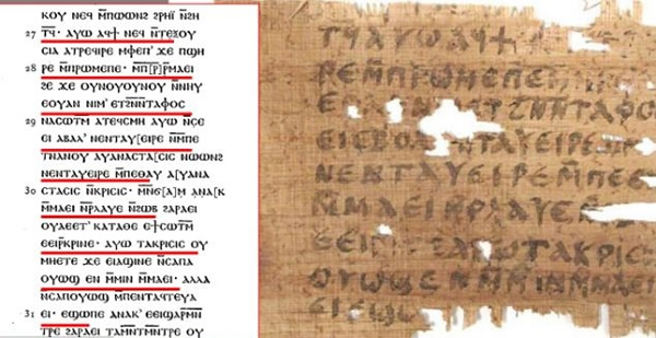 žһƬ()ָϰ桶Լ()ơ