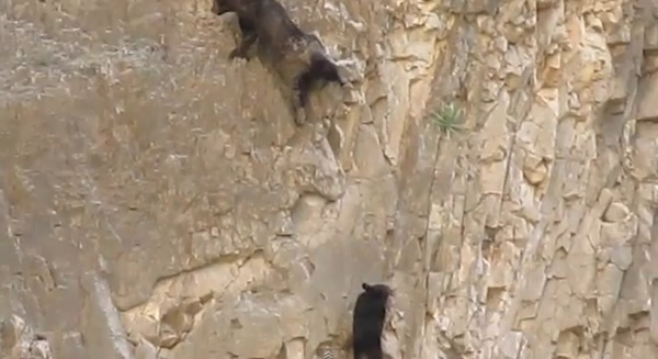 һ��һС�ĺ������ͱ������������������