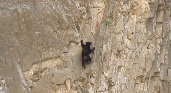 С��Ŭ�����������������Ҳ�������ŵ㡱��