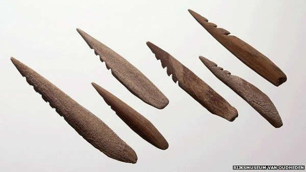 这是在北海地区发现的史前文物,目前保存在荷兰莱顿的国家文物博物馆中