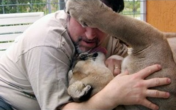 �������������һ������������ʨ������