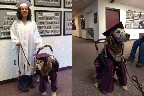 Ϊֶ׼ķñͱҵۣǻһμӱҵ