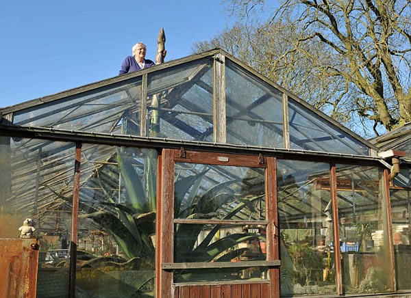 Ӣ�����������ƽ�5�׸ߴ����ݶ�