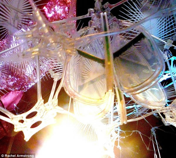 研究中,格林威治大学高级建筑与设计讲师雷切尔-阿姆斯特朗对星际飞船使用的人造土壤进行了分析,包括照片展示的Liesegang Floret 3。Liesegan