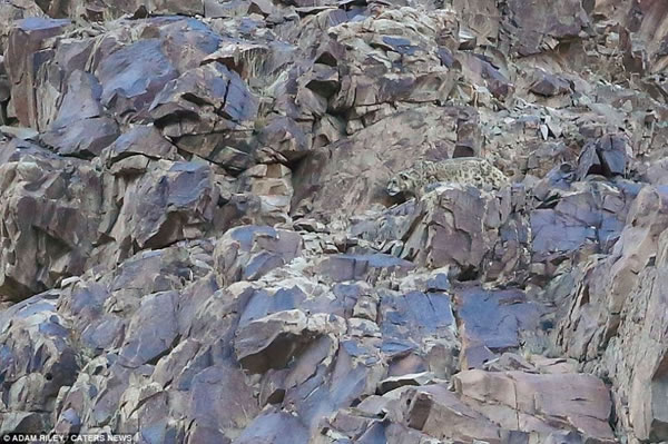 ��ֻ�Ա��������񵯻�һ�������š����ȴ�ǡ��ʱ����Ȼ������ش�������������������ͷû�����ĵ�����