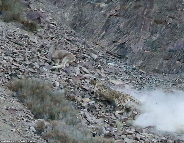 ɽ�������ʯ�����θ��ӣ���Ȼû���谭�����ʳ�ߵķ��׷����