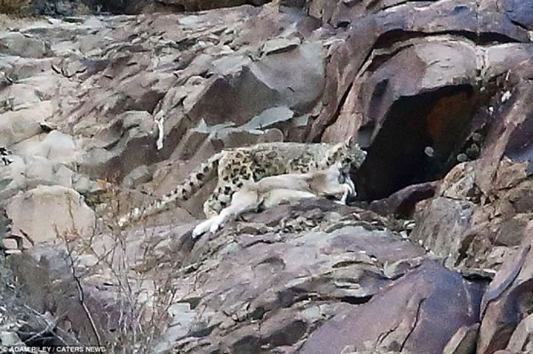 �����ʳ�߰����������ϵ�һ���������͵����صص㡣