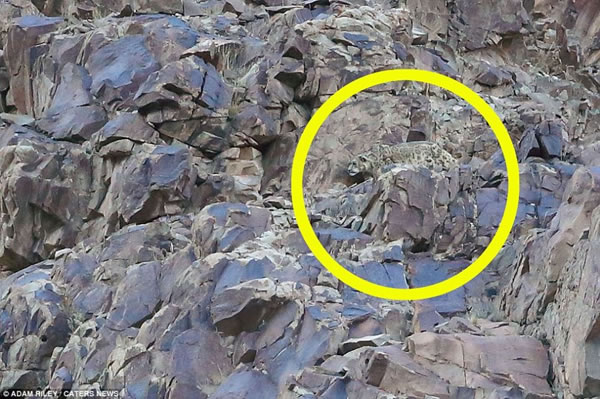 ������Ƭչʾ����ֻ����αװ����ʯ�еĸ߳����졣